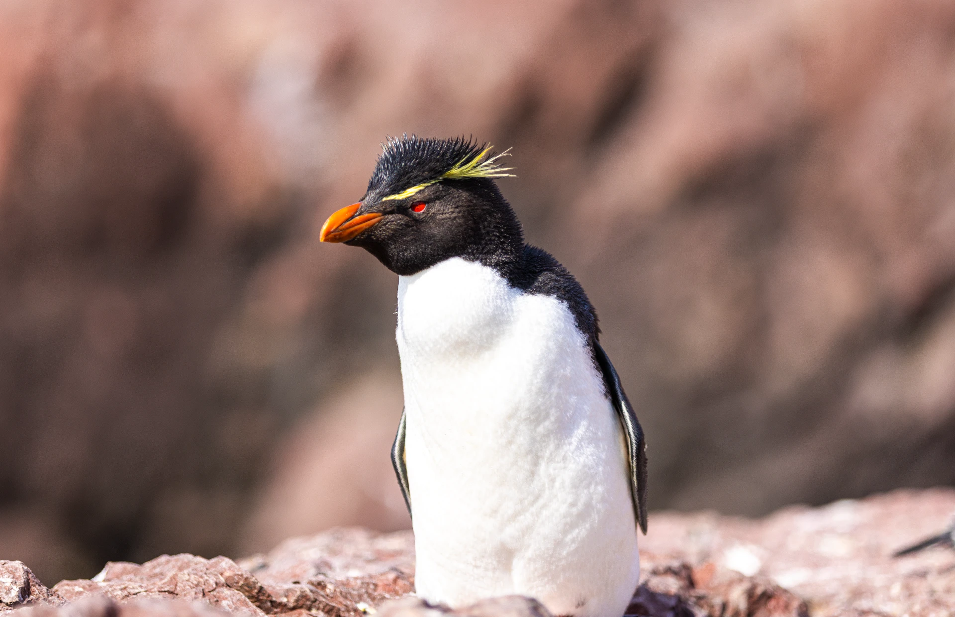 Weiter nach Süden – und ein Abstecher voller Überraschungen