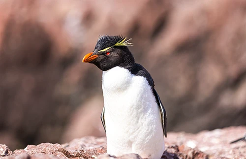 Weiter nach Süden – und ein Abstecher voller Überraschungen